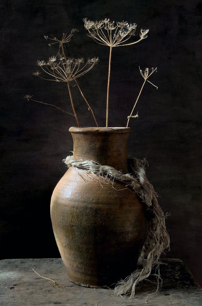 Photograph by Анна Якубинас