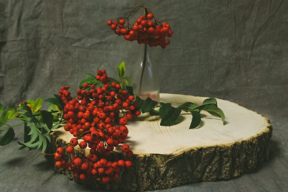 Photograph by Евгения Сенченко