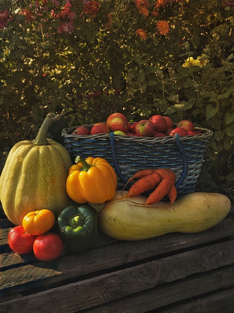 Photograph by Елена