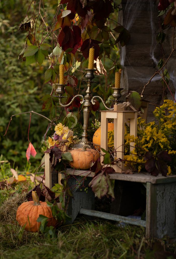 Photograph by Екатерина Одинцова