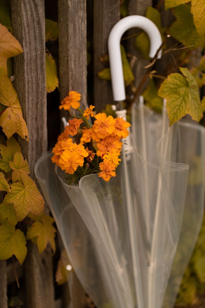 Photograph by Екатерина Одинцова