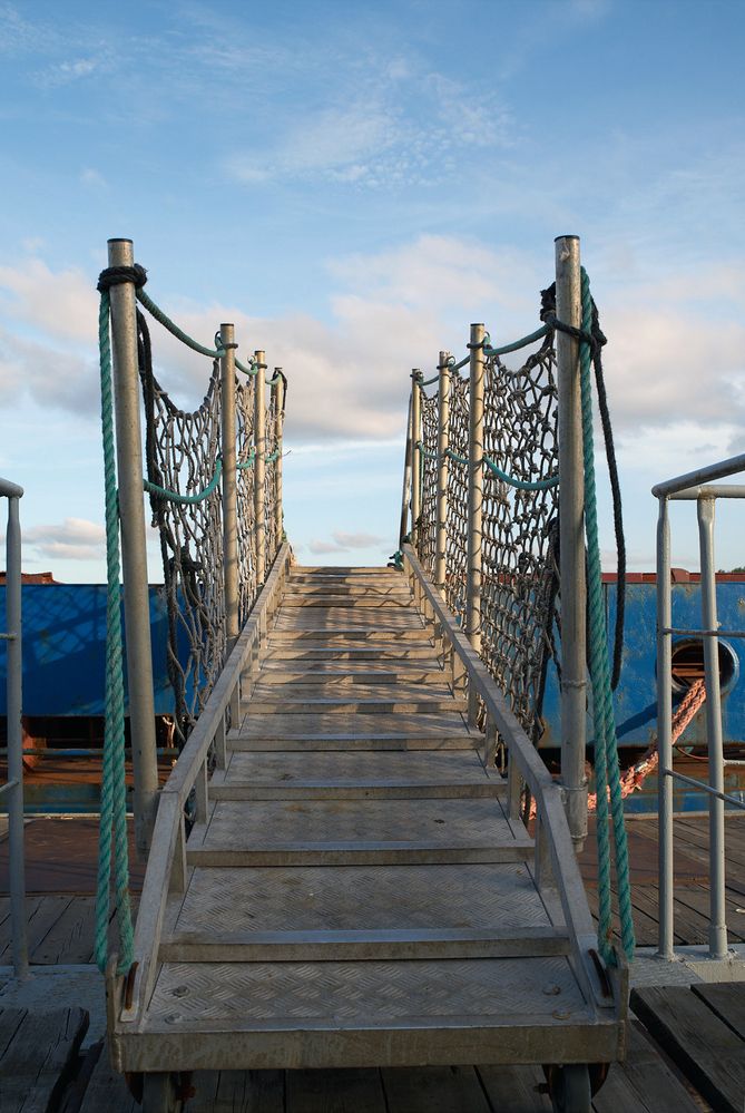 Фотография автора Харламова Валентина