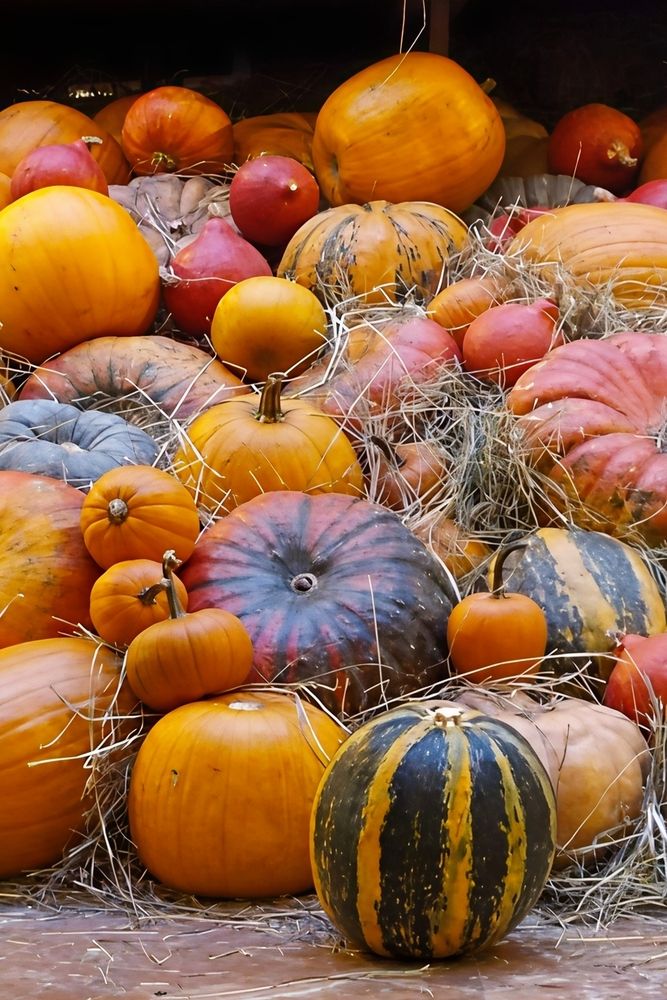 Photograph by Юлия Холомцева