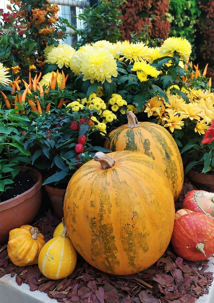 Photograph by Юлия Холомцева