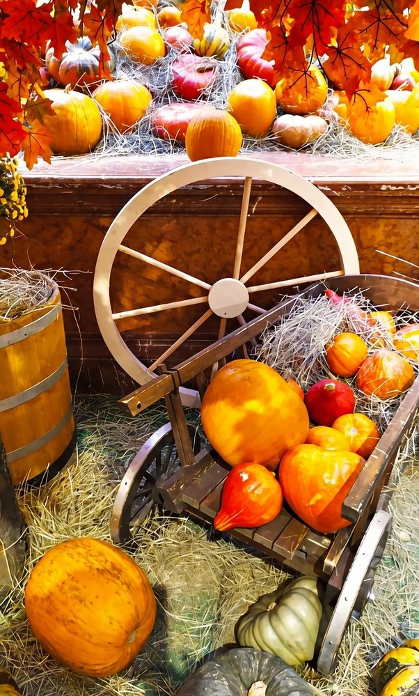 Photograph by Юлия Холомцева