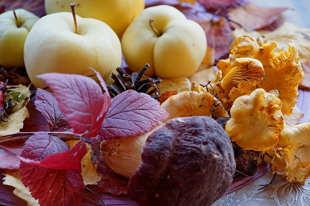 Photograph by Галина Кан