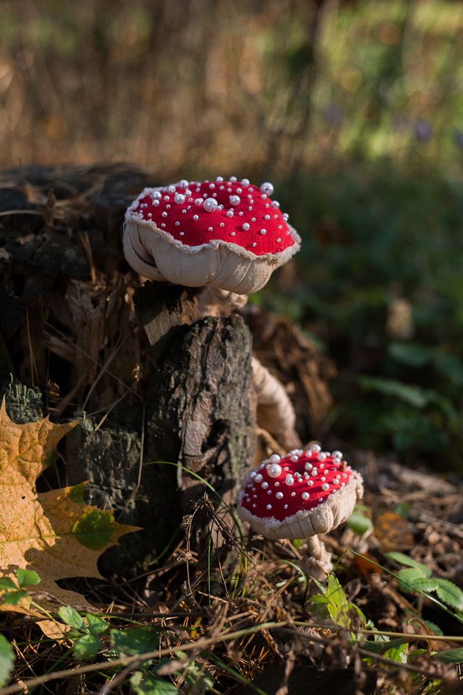 Photograph by Rimma Larkina