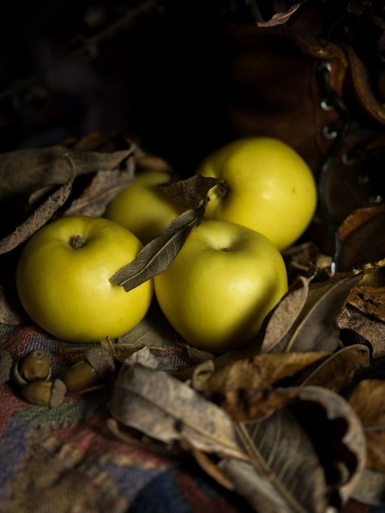 Photograph by Ярослава Васильева