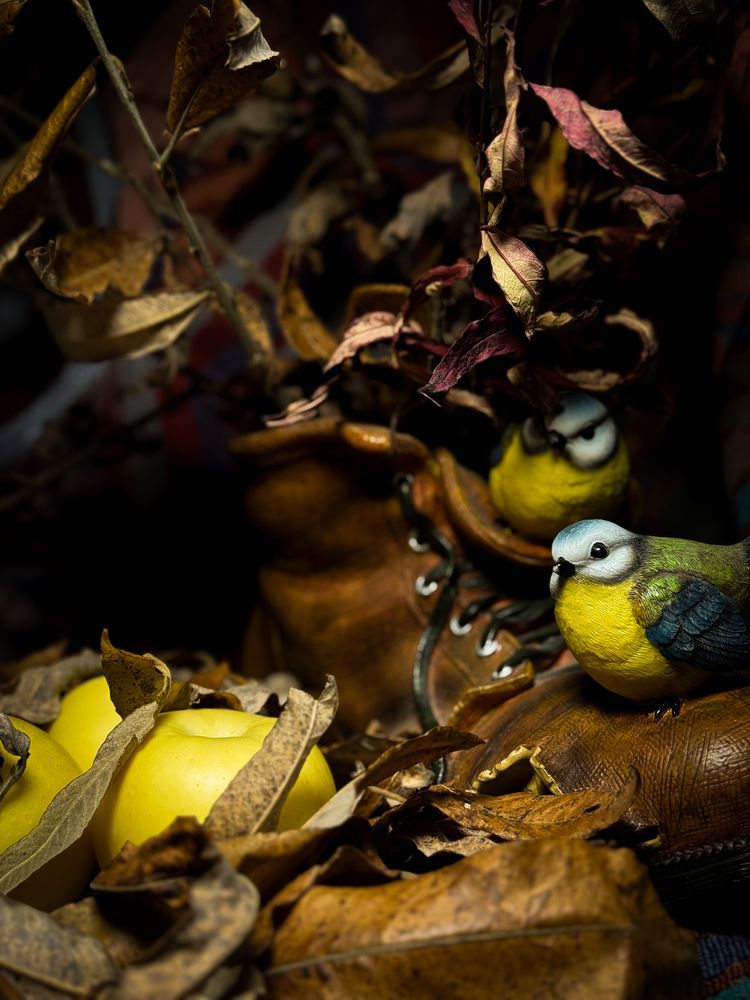 Photograph by Ярослава Васильева