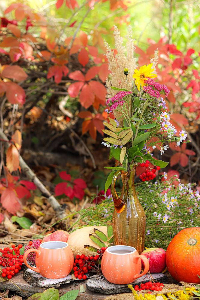 Photograph by Аня Проскурякова