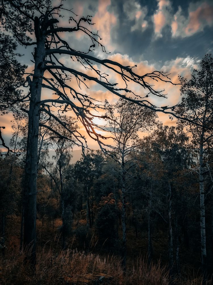 Photograph by Андрей Пучков