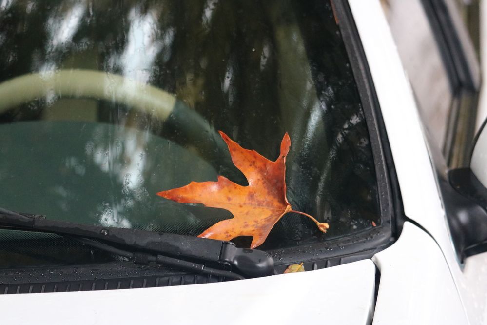 Photograph by Babak Akvan