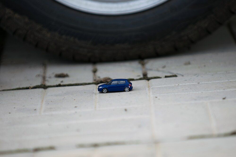 Photograph by Дария Ризниченко