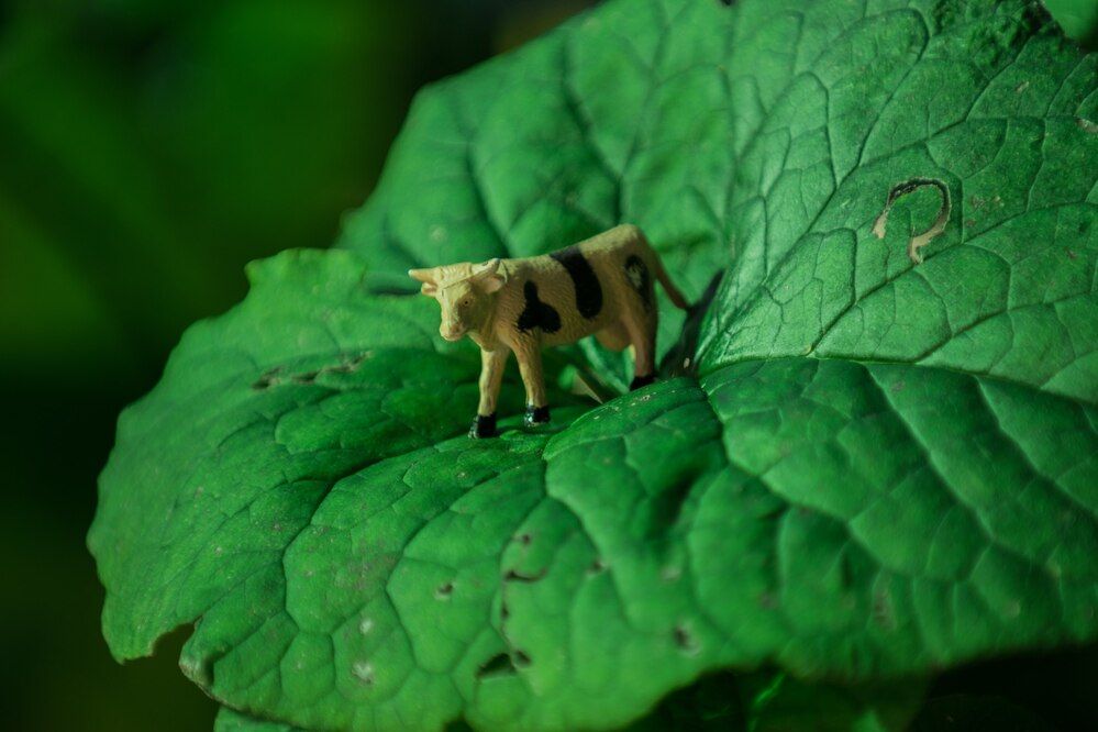 Photograph by Дария Ризниченко