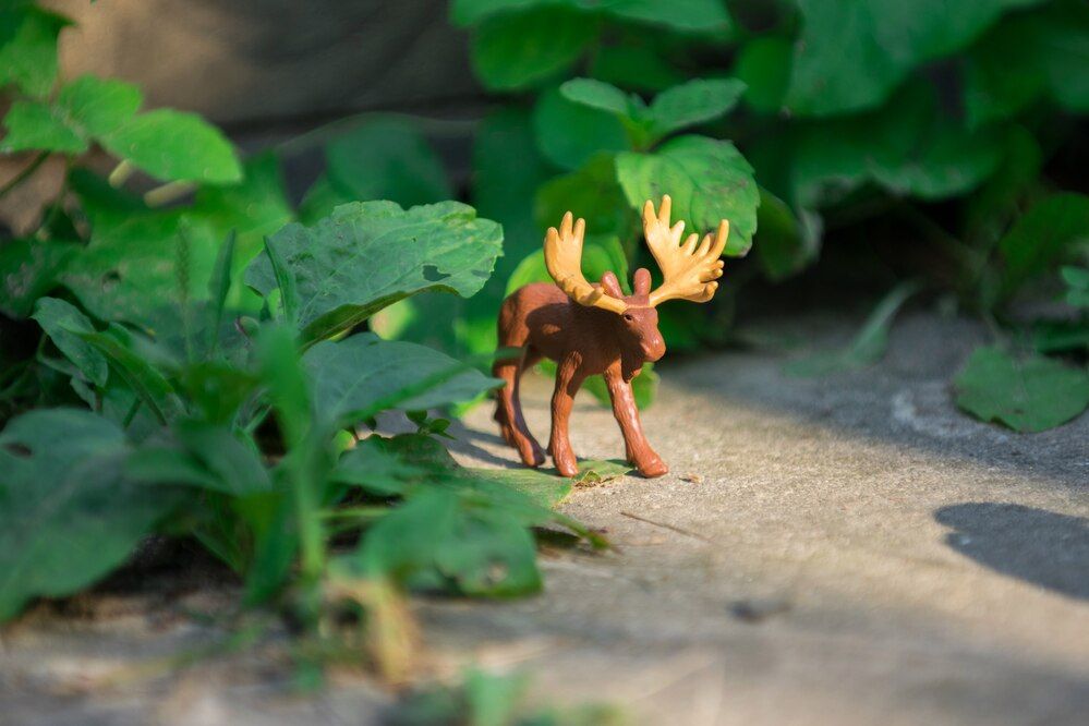 Photograph by Дария Ризниченко