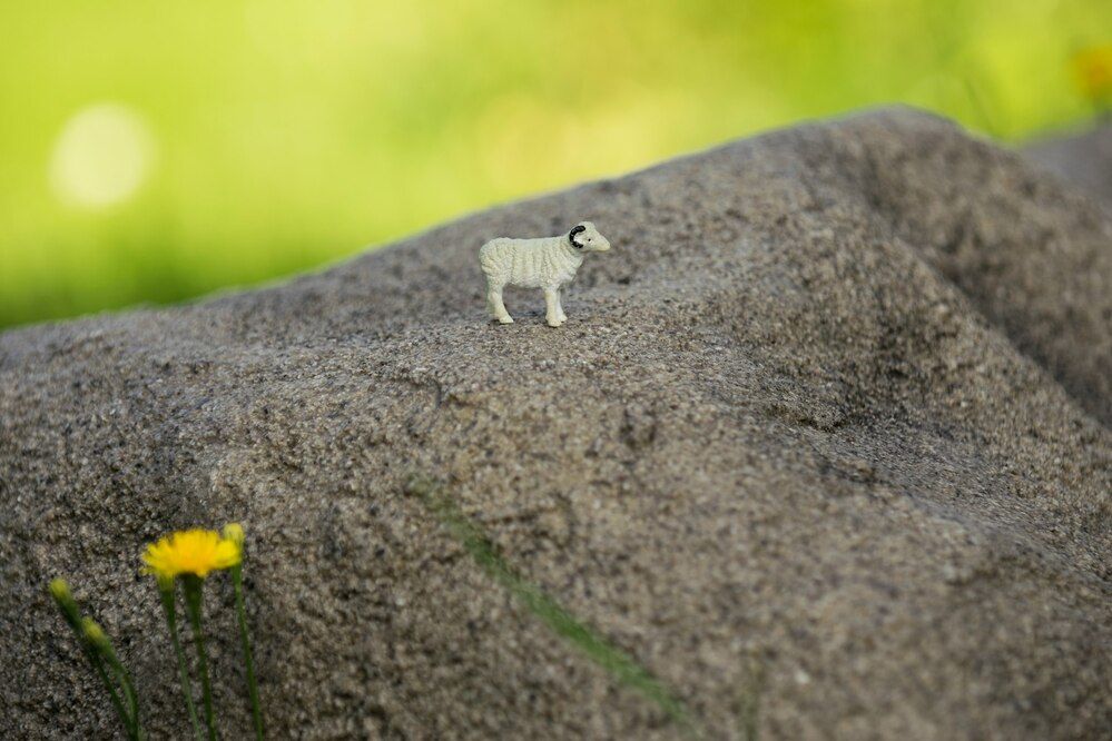 Photograph by Дария Ризниченко