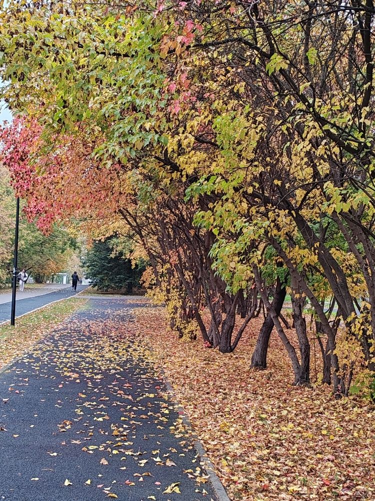 Photograph by Ольга Сошина