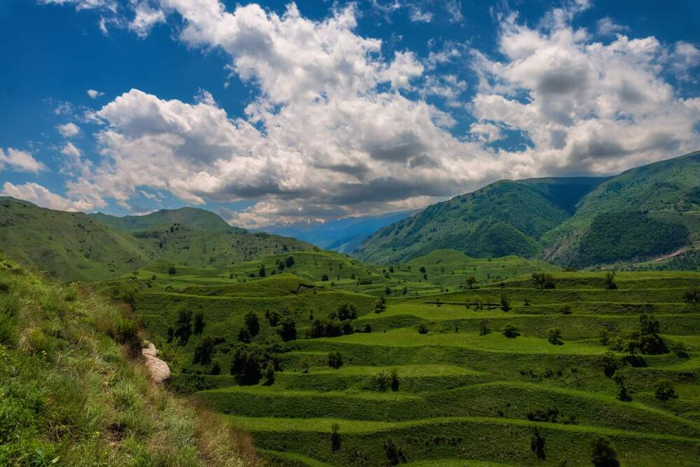 Photograph by Маргарита Матвеенкова