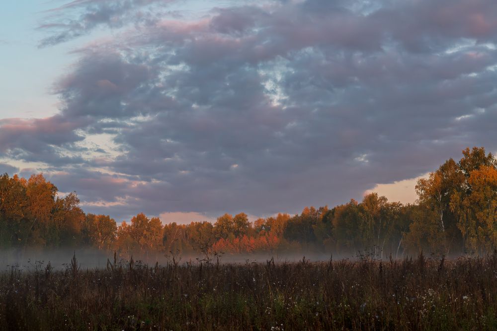 Photograph by Ольга Ченцова