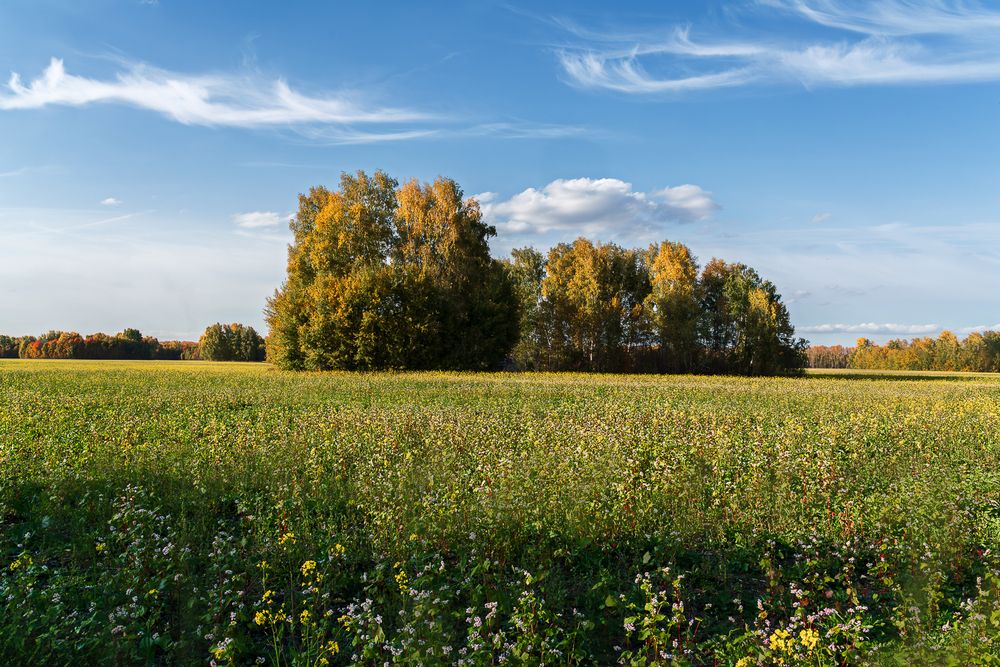 Photograph by Ольга Ченцова