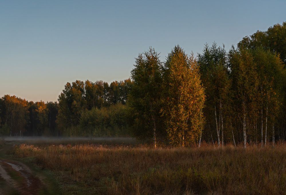 Photograph by Ольга Ченцова