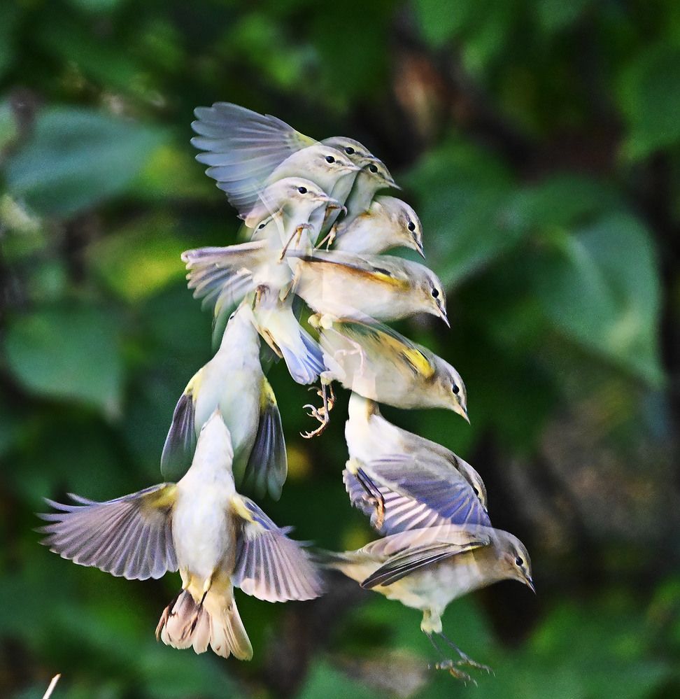 Photograph by Дмитрий Ткаченко