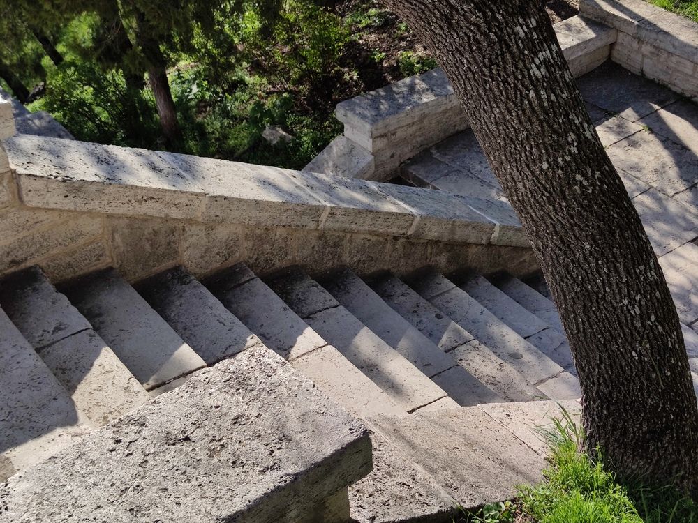 Photo #12678450