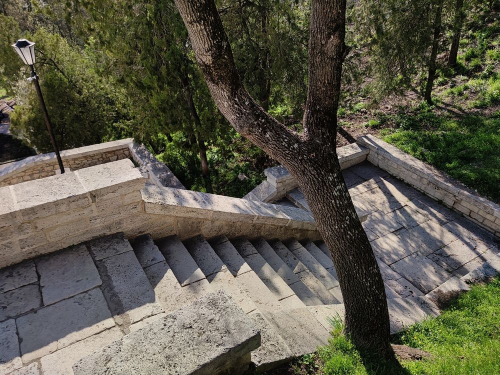 Photo #12678451