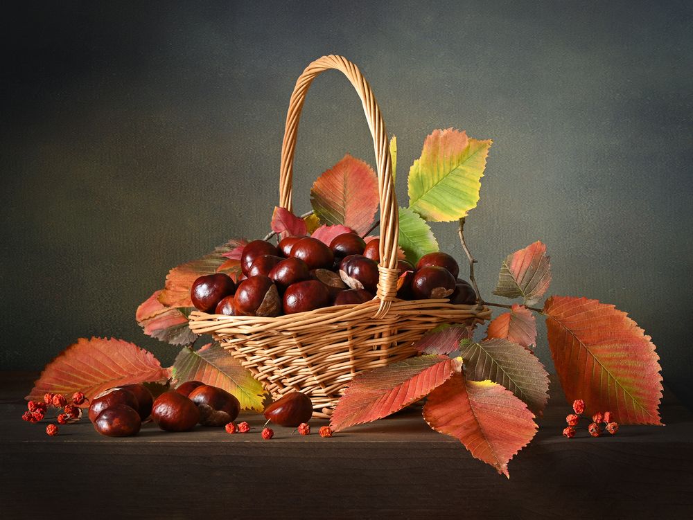 Photograph by Inna Ivanova