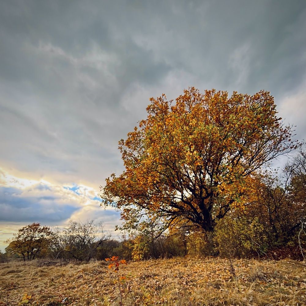 Photograph by Антон Тимошевский