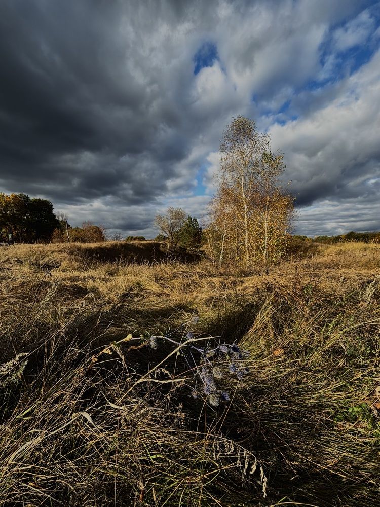 Photograph by Антон Тимошевский