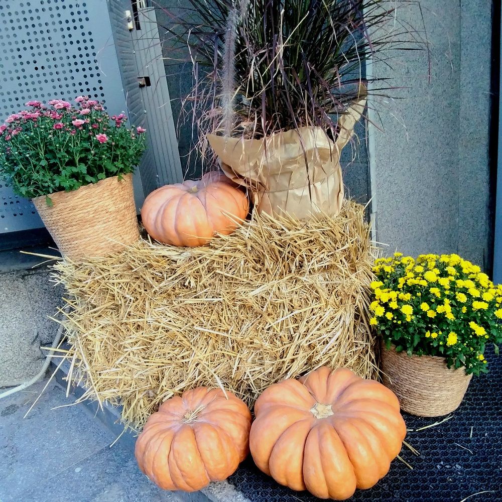 Photograph by Васильева Львовна