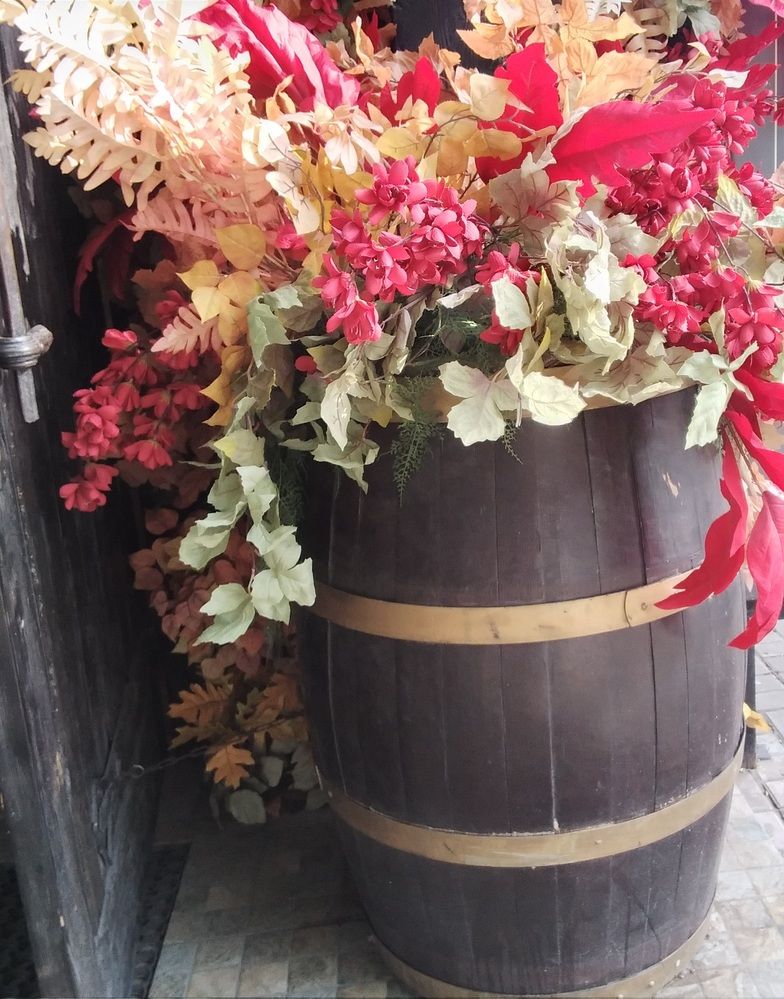 Photograph by Васильева Львовна