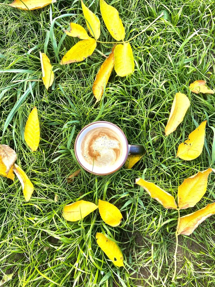 Photograph by Наталья Душакова