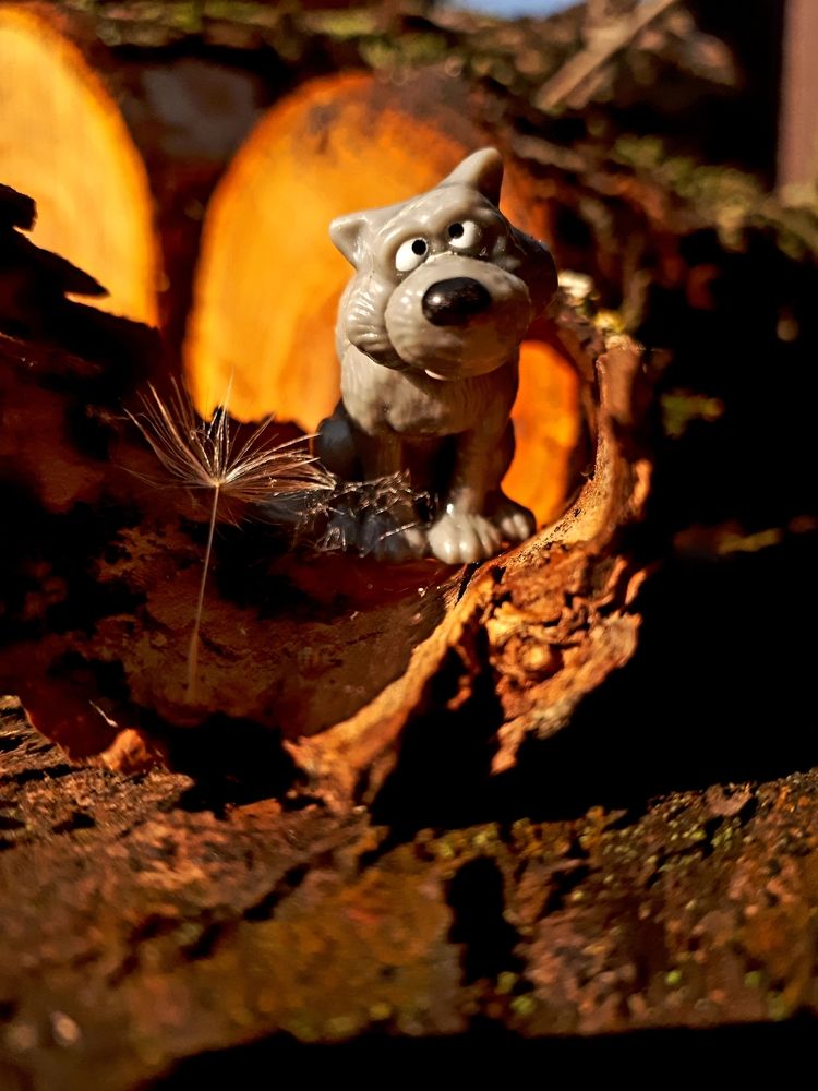 Photograph by Наталья Канищева-Медынская