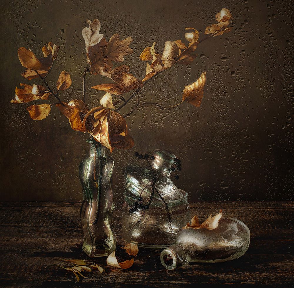 Photograph by MVO (Марк Орлов)