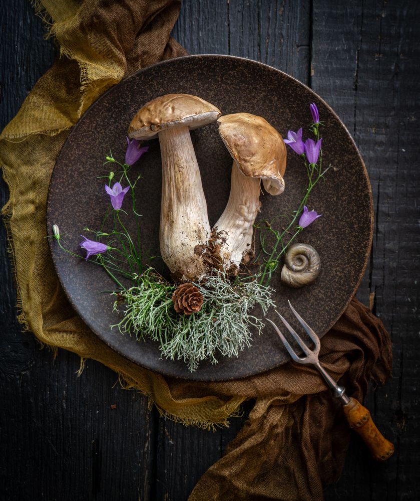 Photograph by Milla Walmus