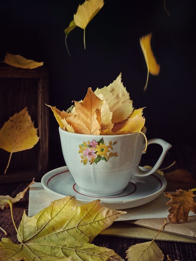 Фотография автора Татьяна Шахова