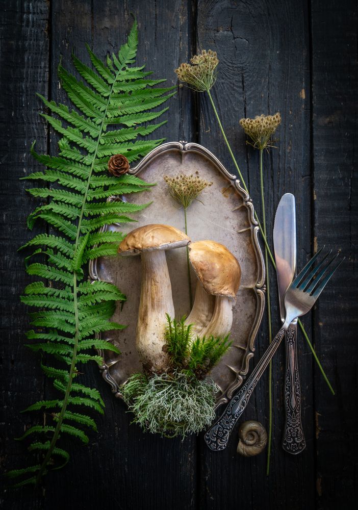 Photograph by Milla Walmus