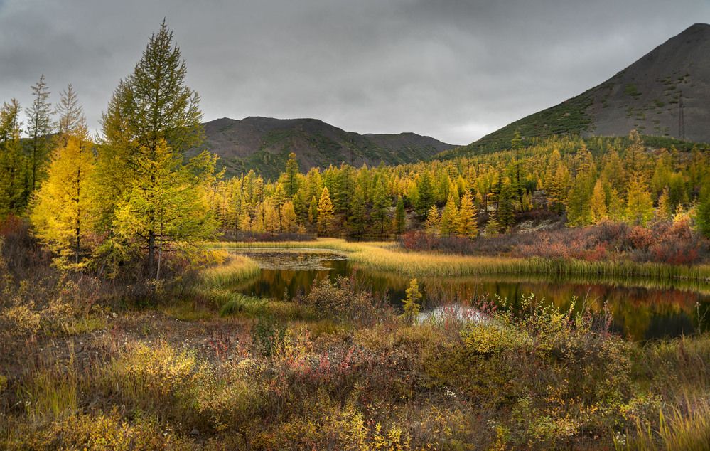 Photograph by Светлана Гореликова