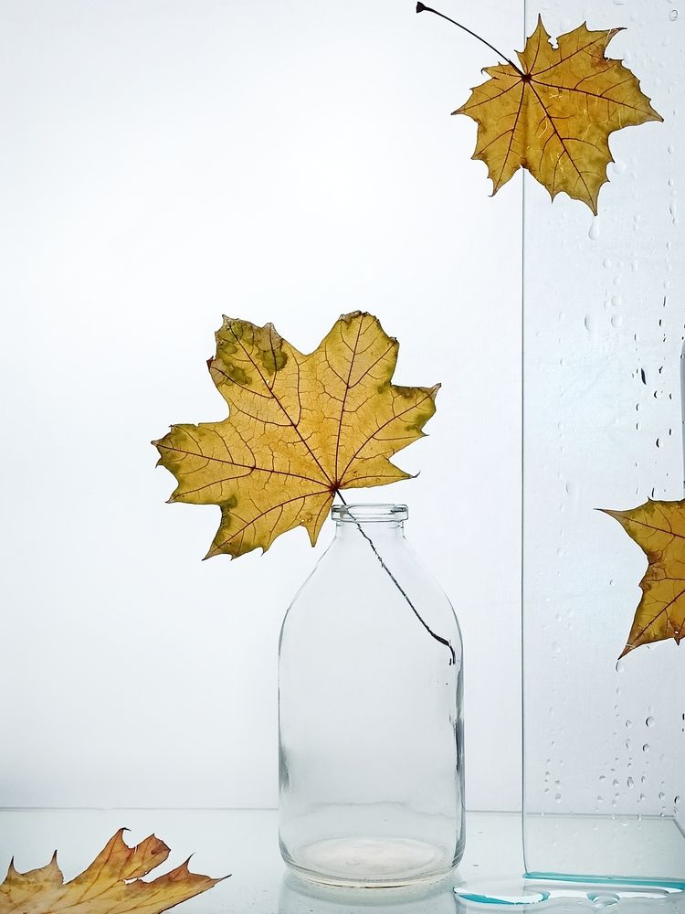 Фотография автора Татьяна Шахова