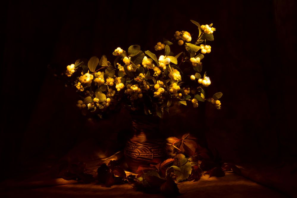 Photograph by Анна Оськина