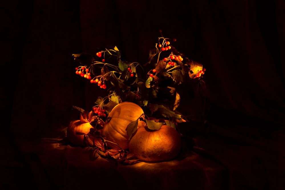 Photograph by Анна Оськина