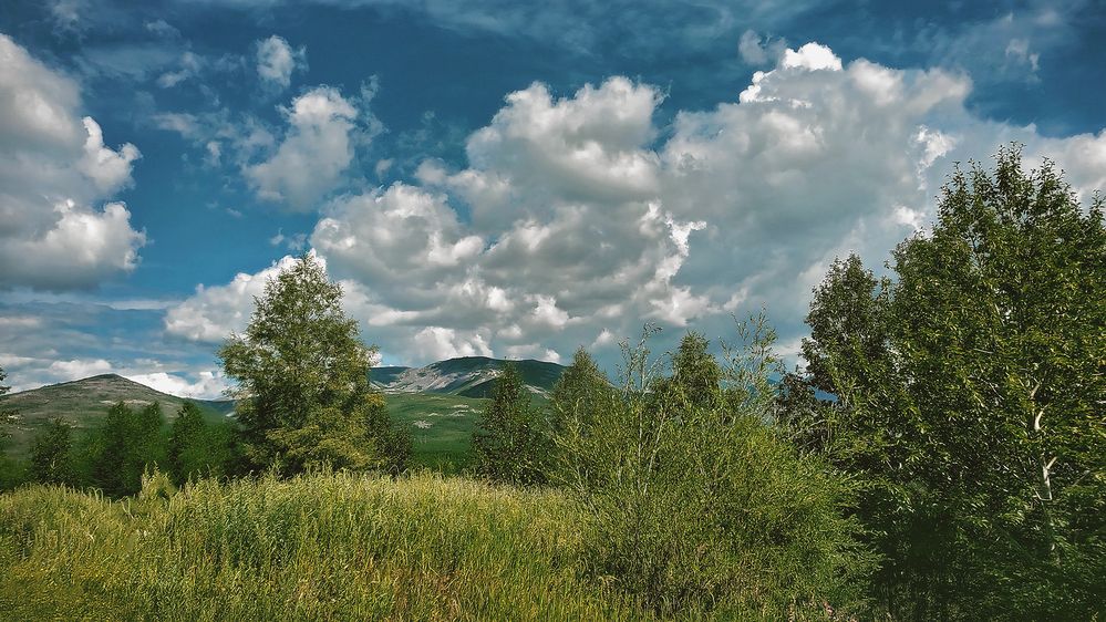 Photograph by Romanova Tatyana