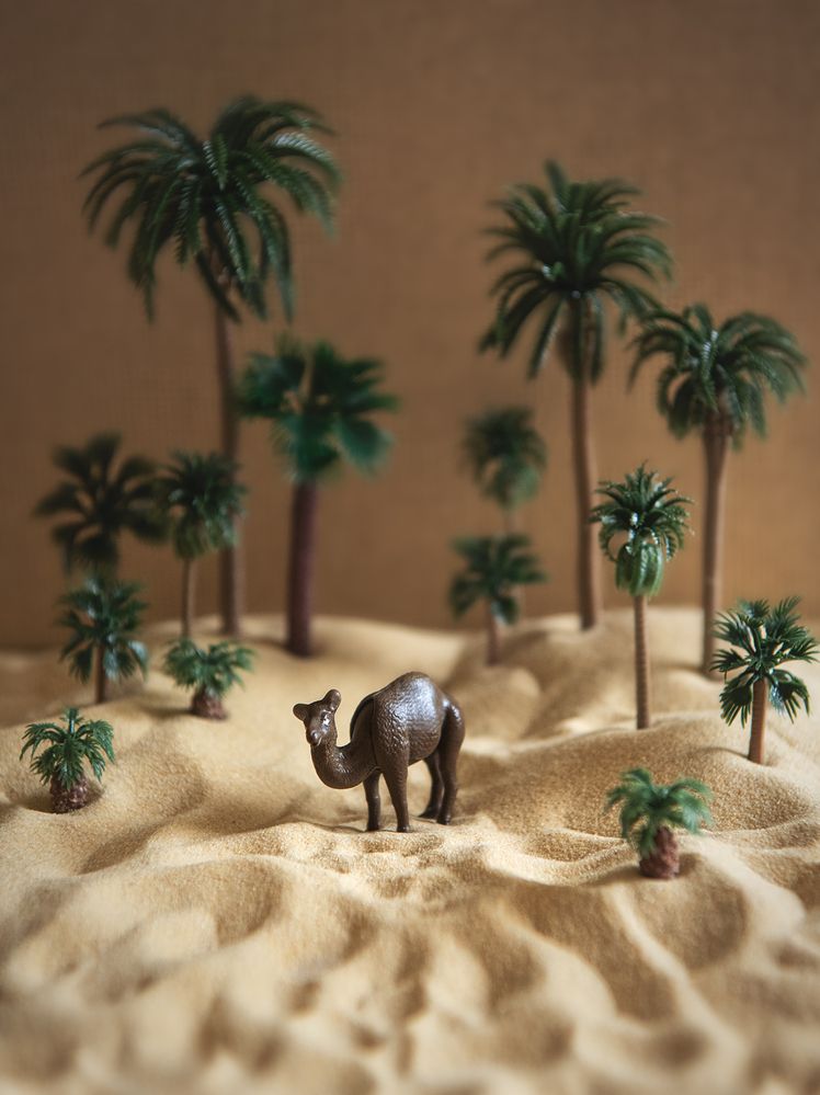 Photograph by Юлия Борт