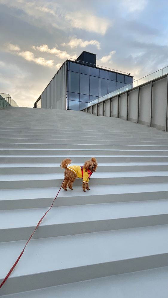 Photograph by Людмила Казак