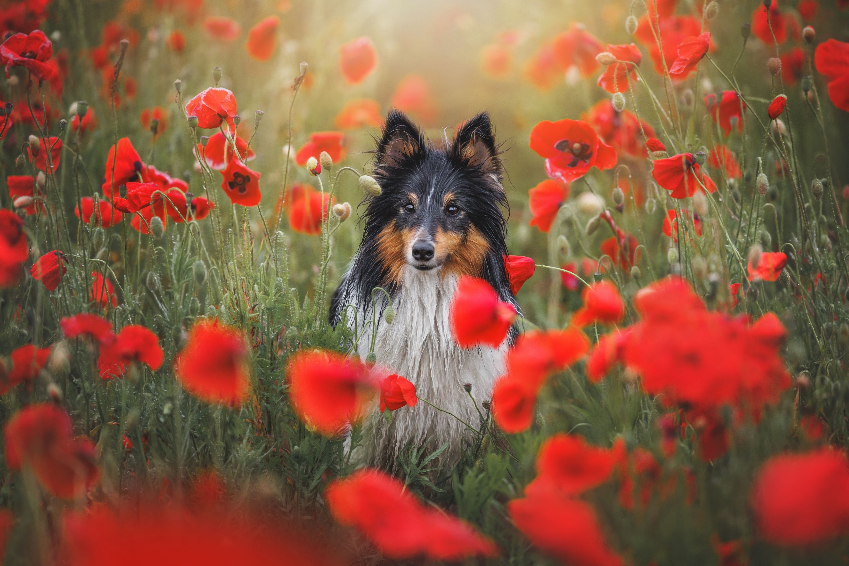 Photograph by Яна Нарбутович