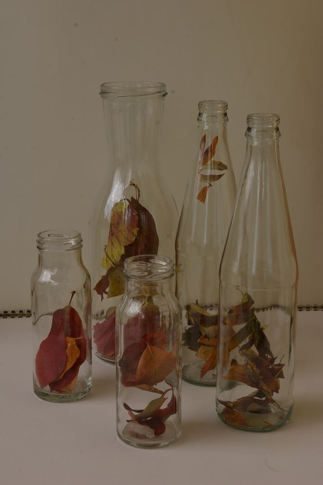 Photograph by Елена Алешкевич