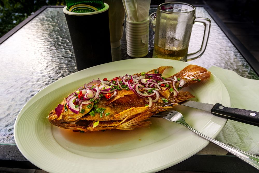 Красный окунь