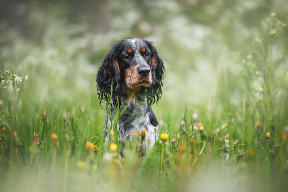 Photograph by Яна Нарбутович